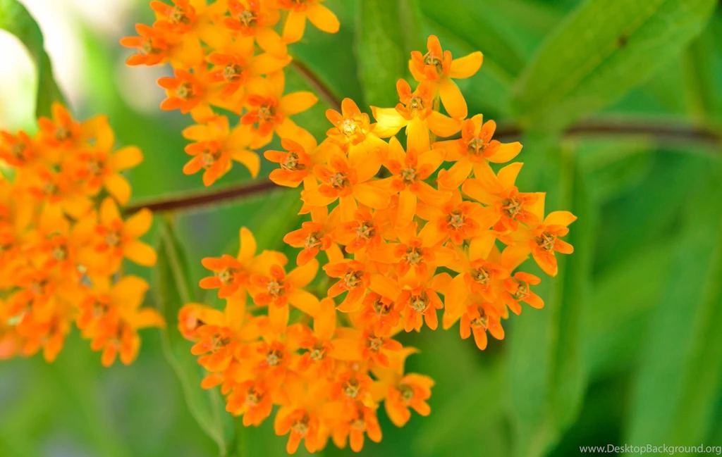 Amazing Views, Cool Nature Photos, Nature Wallpapers For Samsung ...