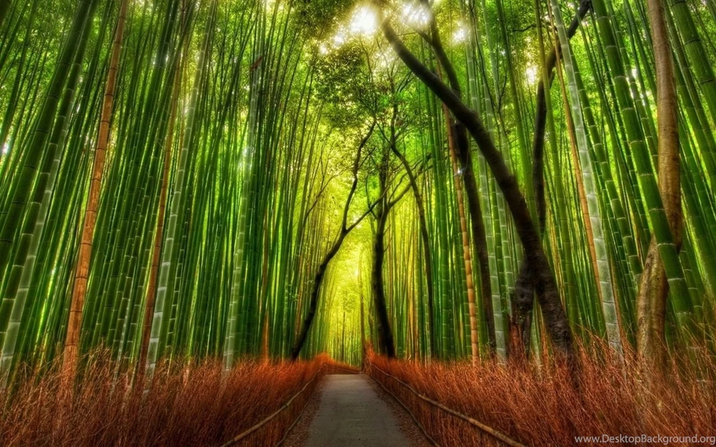 Galaxy Tab Wallpapers HD Nature Beautiful, Stunning Wallpapers