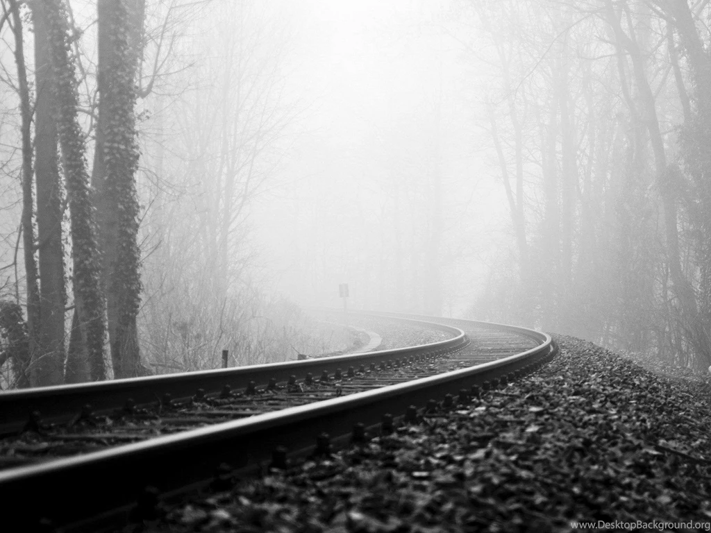 Trees Forests Mist Grayscale Railroad Tracks Wallpapers