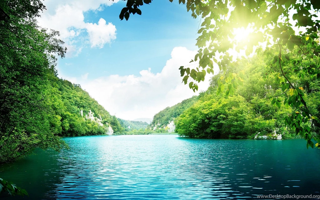 Silent Water Wallpaper Forest Image Stream Picture.jpg