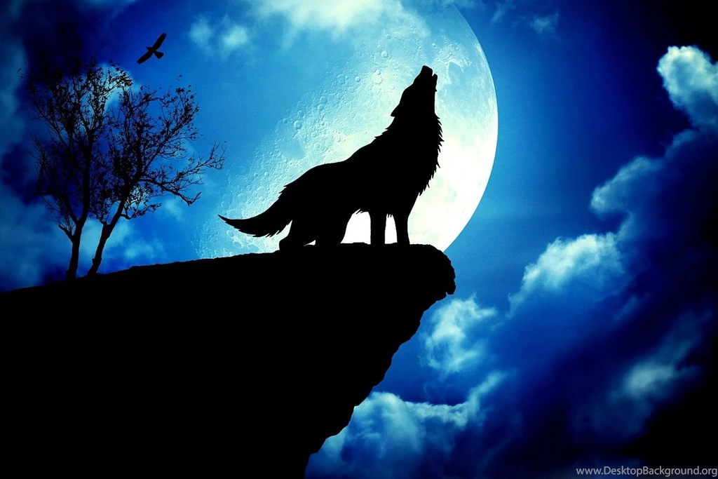 HD Wolf Wallpapers Wallpapers Cave
