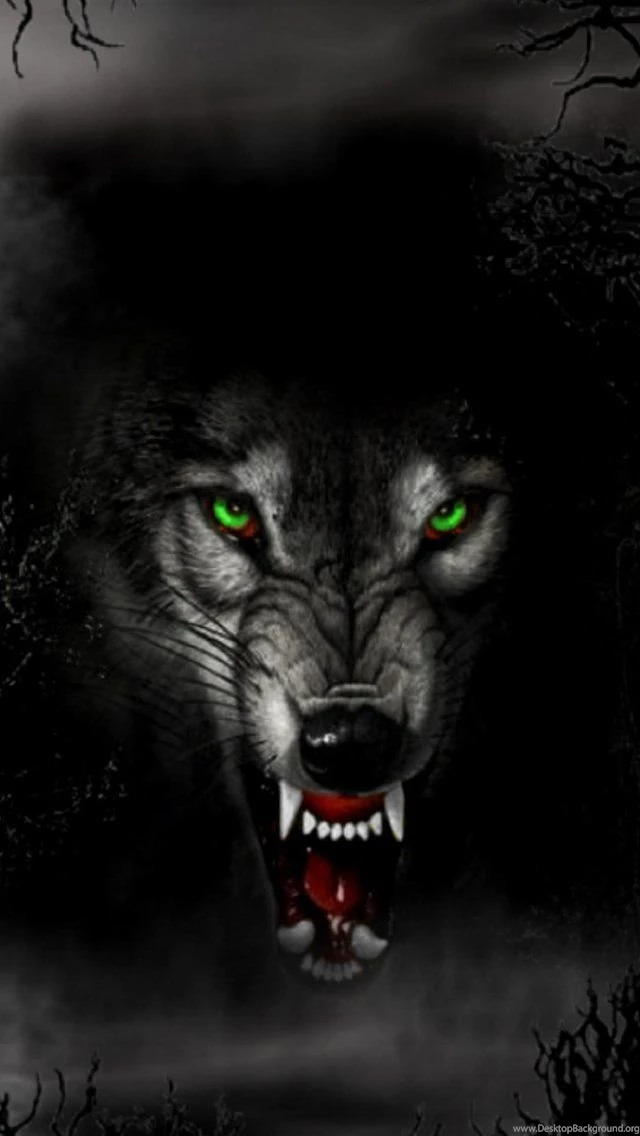 Download Wolf Iphone Backgrounds