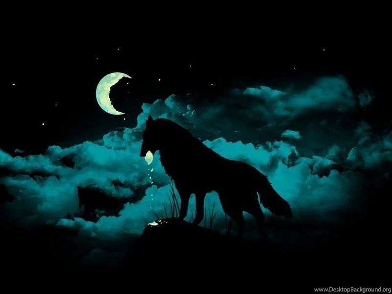 Owl And Wolf Wallpapers HD Free Desktop Backgrounds And Wallpapers