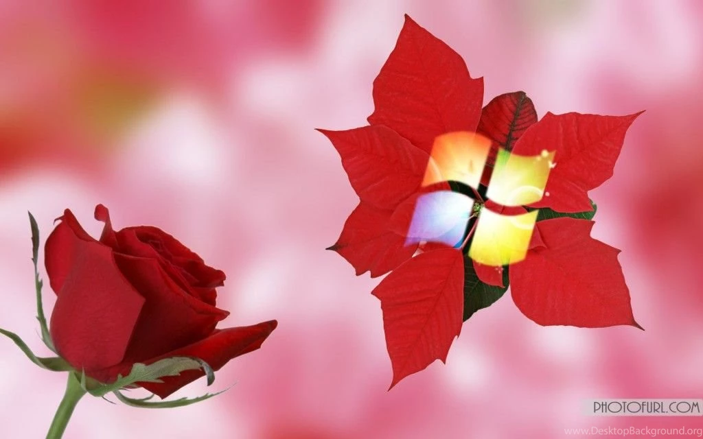 Windows 7 Wallpapers For Computer Desktop Backgrounds