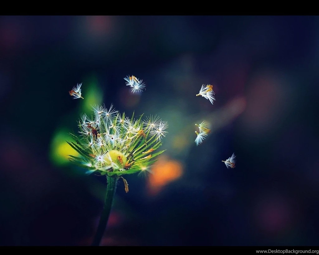 Nexus 7 Wallpapers 39