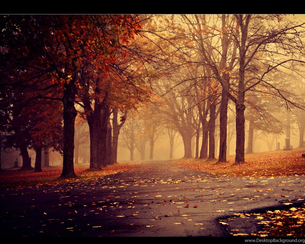 Nexus 7 Wallpapers 24