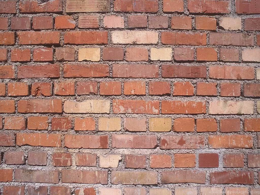Walls Wallpapers Wall Doctor Wallpapers Paste The Wall Wallpapers ...