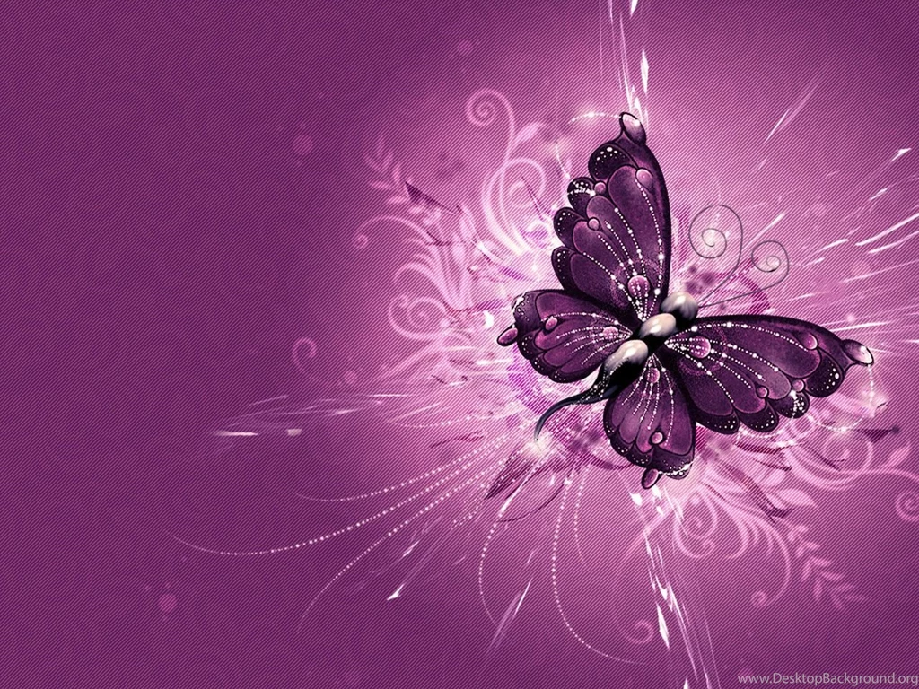 Butterfly Wallpapers Hd Widescreen HD Wallpapers