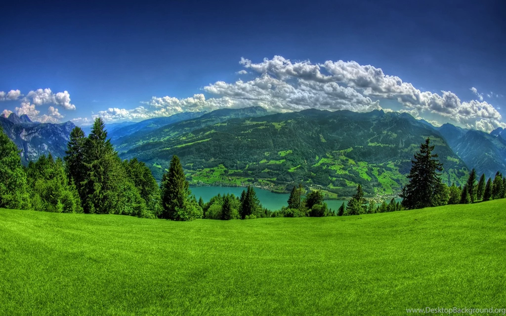 High Definition Pictures