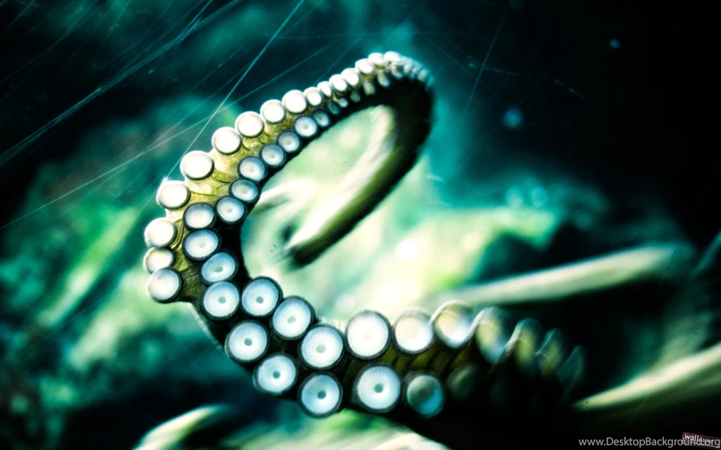 Release The Kraken Wallpapers