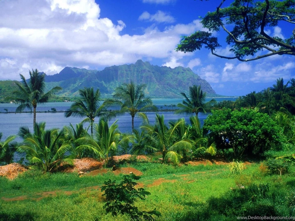 Wallpapers Natural Beauty Widescreen HD Wallpapers
