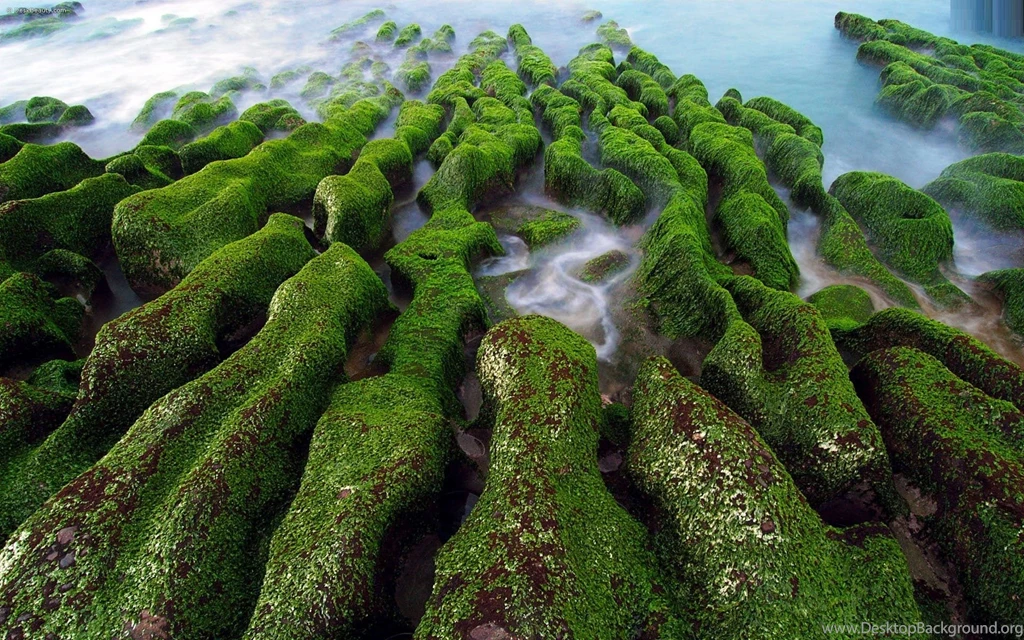 Amazing Nature Wallpapers 772532