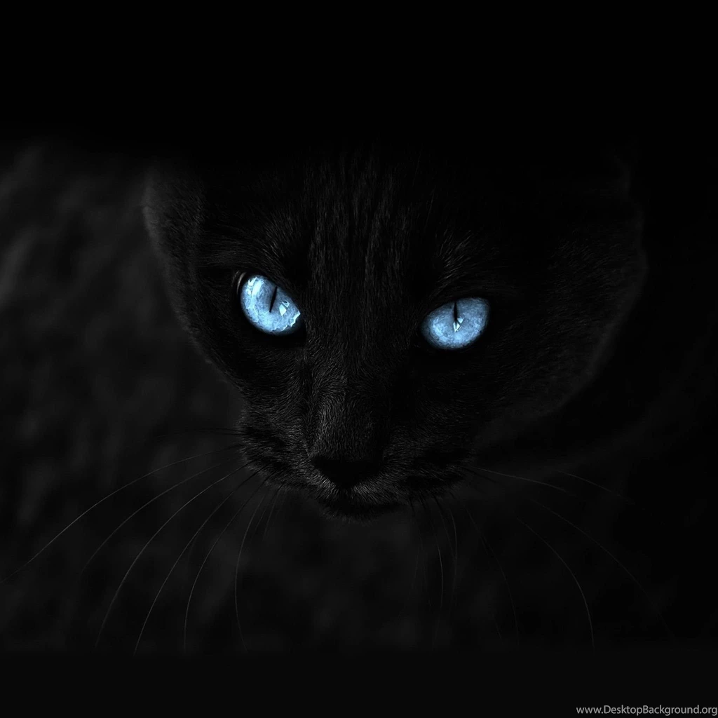 iPad Retina Wallpapers HD Retina Ready, Stunning Wallpapers