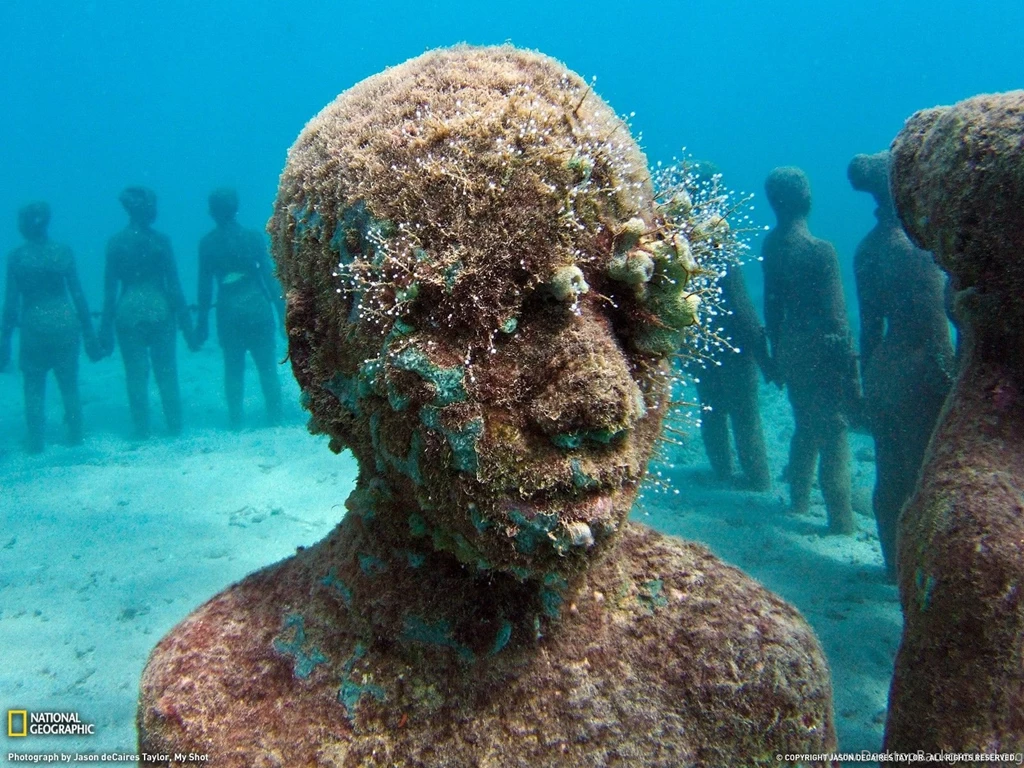 National Geographic HD Wallpapers And Photos