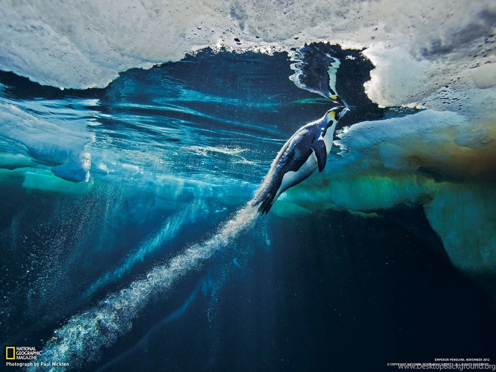 Photography Desktop Wallpapers National Geographic Magazine