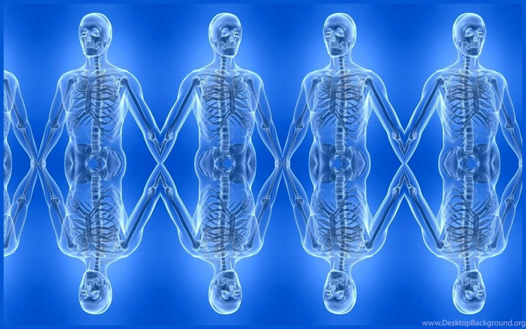 Anatomy Blue Human Body Best Widescreen Backgrounds Awesome