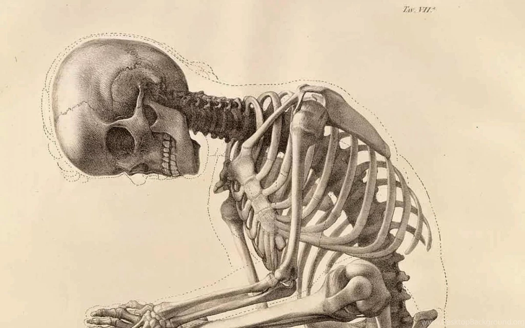 IU South Bend Sociology And Anthropology Department: 200,000 Year ...