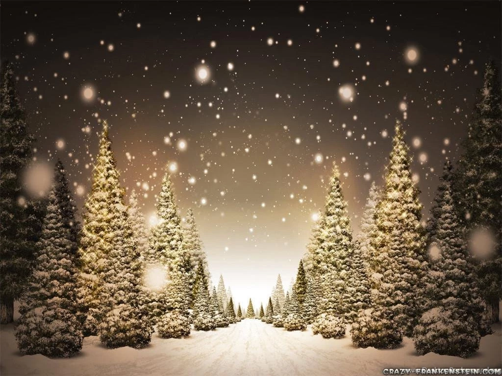 Read Online Snow Trees Christmas Backgrounds 1 Hd Wallpapers