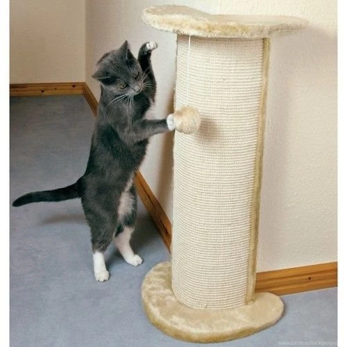 Cat Scratching Column Trixie 'lorca' Cat Scratcher Protect ...