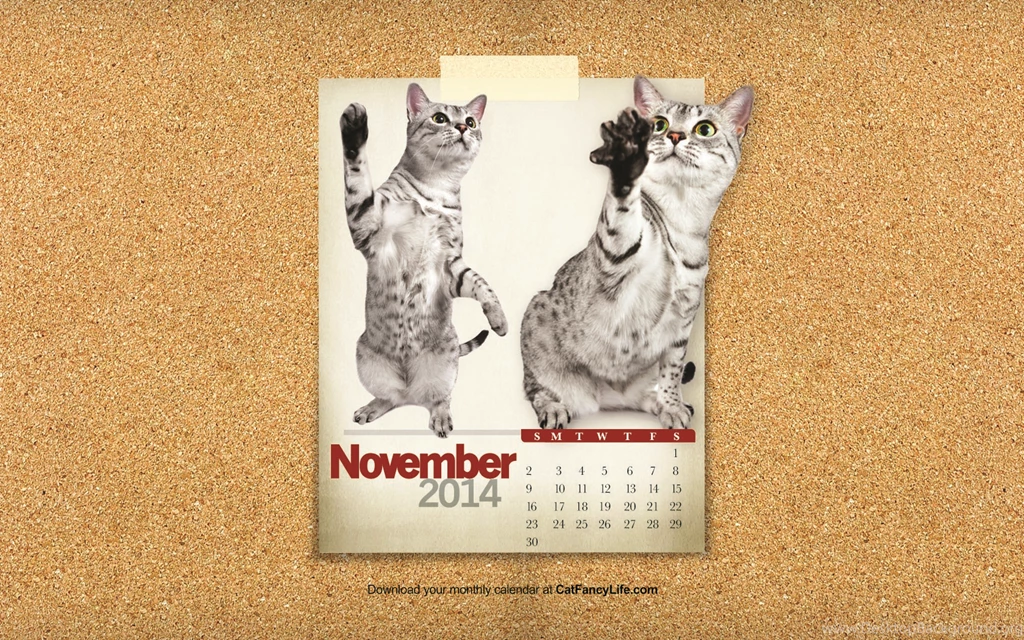 Desktop Cat Wallpapers Calendars