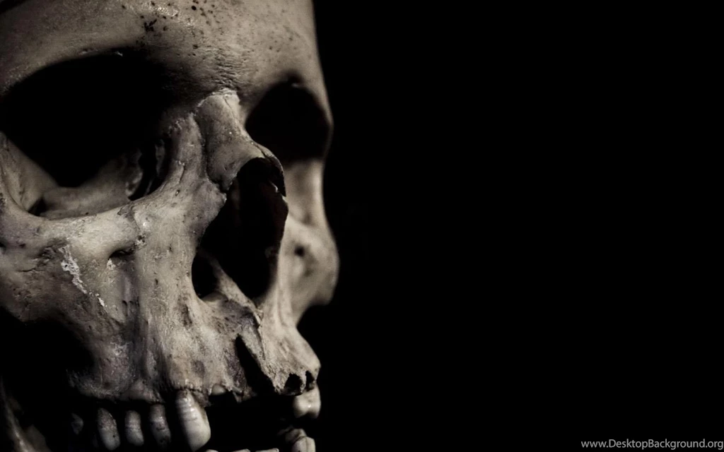 Free Skull Wallpapers   HD Wallpapers And Pictures