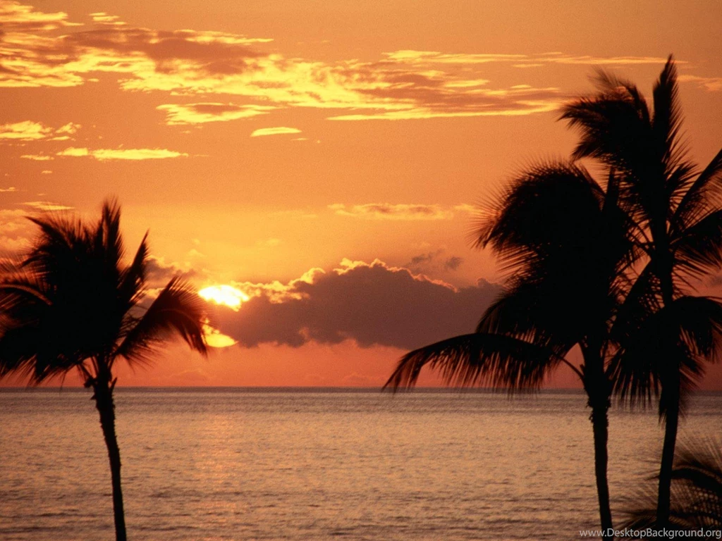 Tropics Maui Free Desktop Backgrounds Free Wallpapers Image