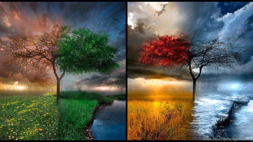 Clouds Winter Snow Trees Autumn Artistic Flowers River Seasons ...