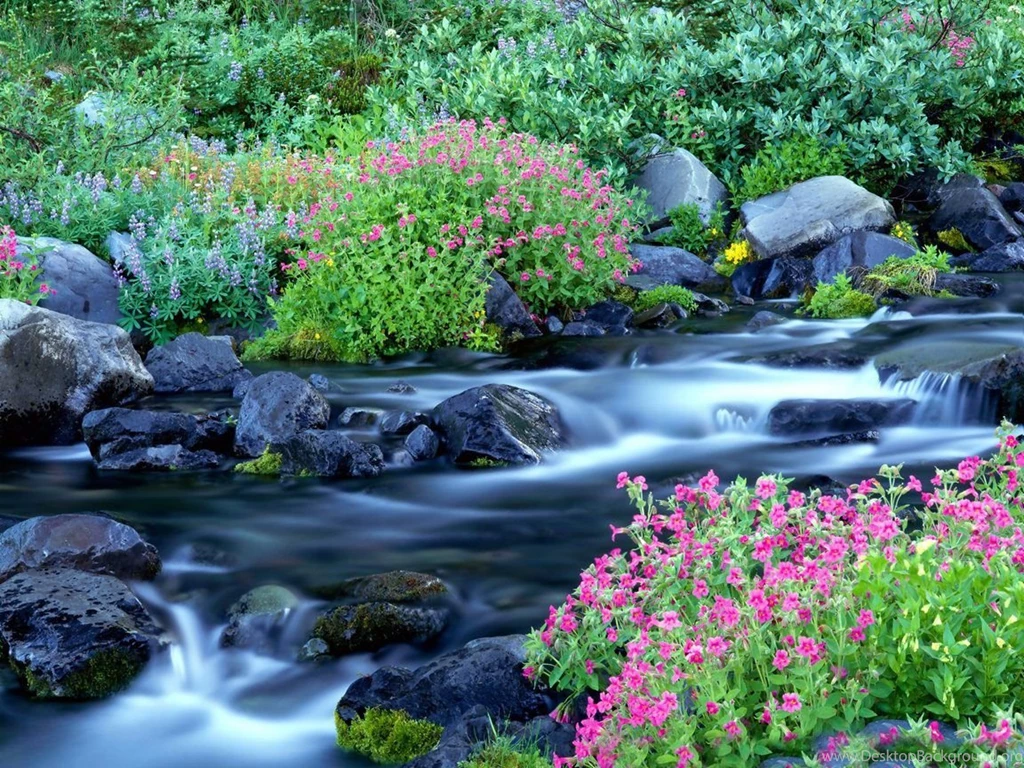 Beautiful Wallpapers And Images: High Definition Nature Wallpapers ...