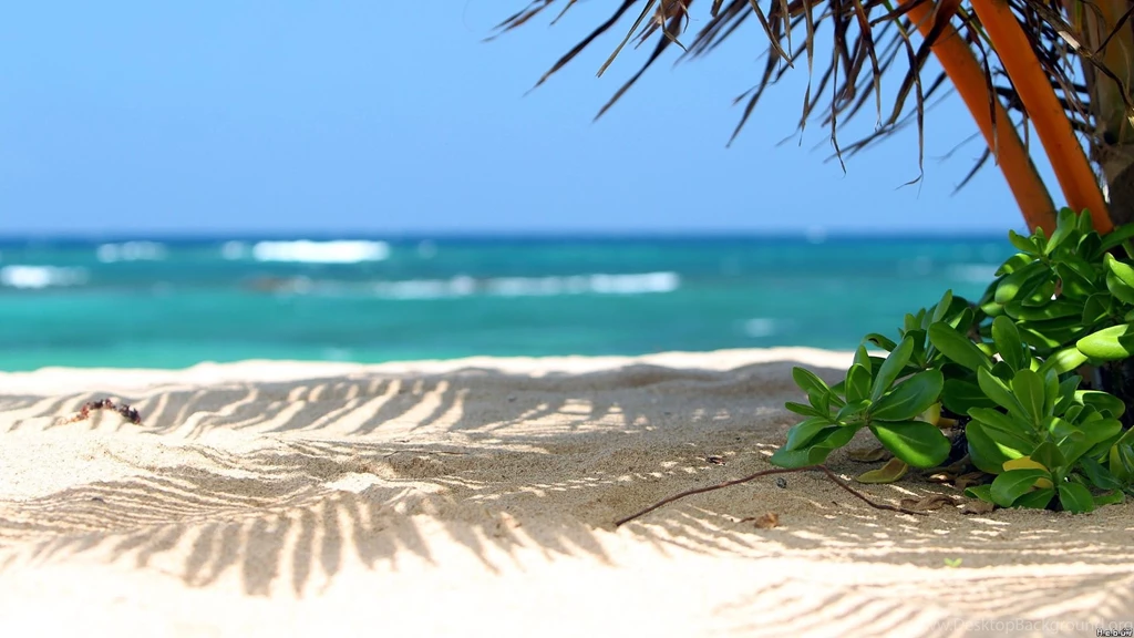 Beautiful Beach Scenery Wallpapers
