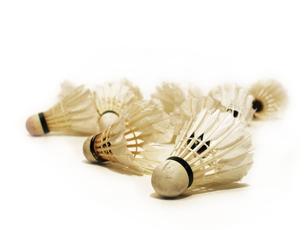 Wallpaper: Badminton Wallpapers