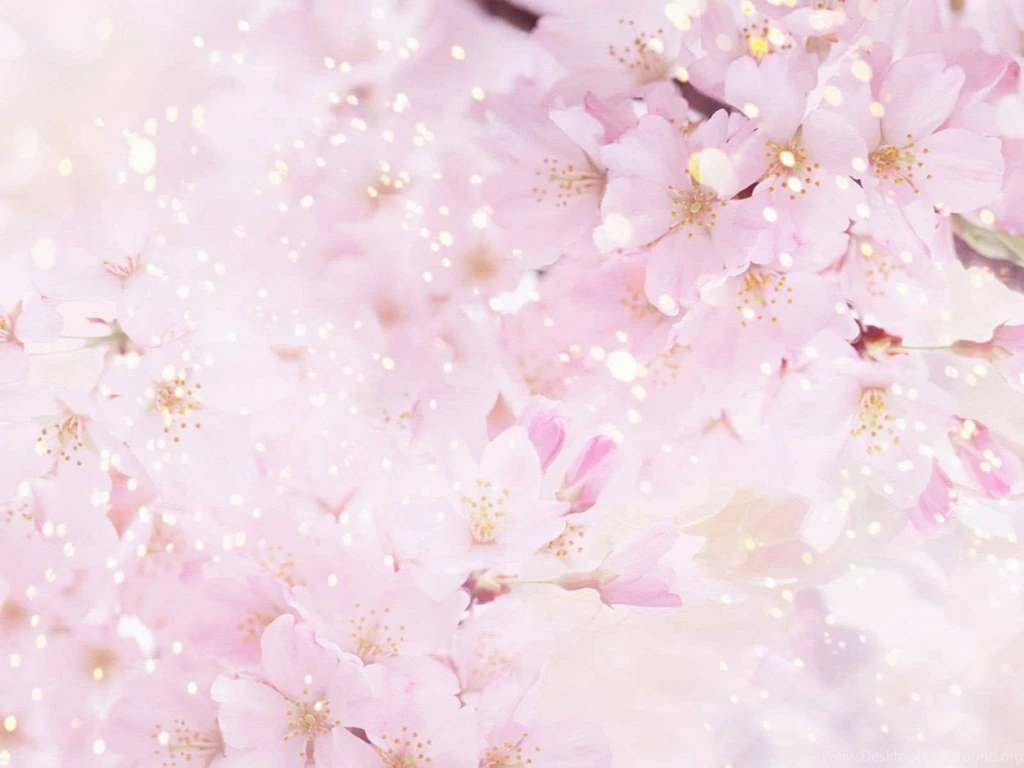 Beautiful Flower Backgrounds Wallpapers Cave