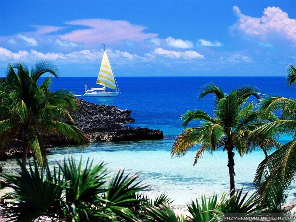Hawaii Wallpapers Crazy Frankenstein