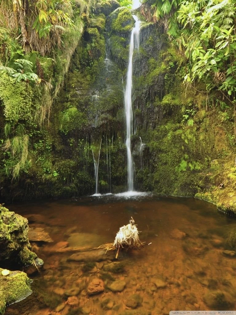 Waterfall In Hawaii HD Desktop Wallpapers : High Definition ...