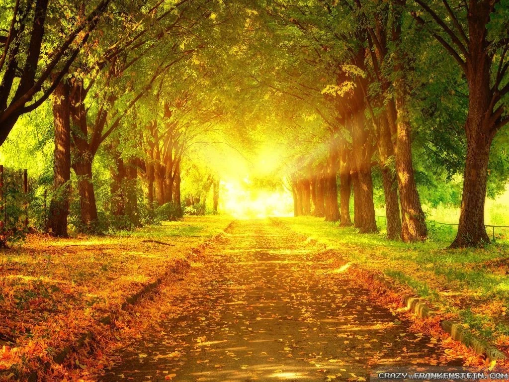 Autumn Scenes Wallpapers 2 Seasonal Crazy Frankenstein