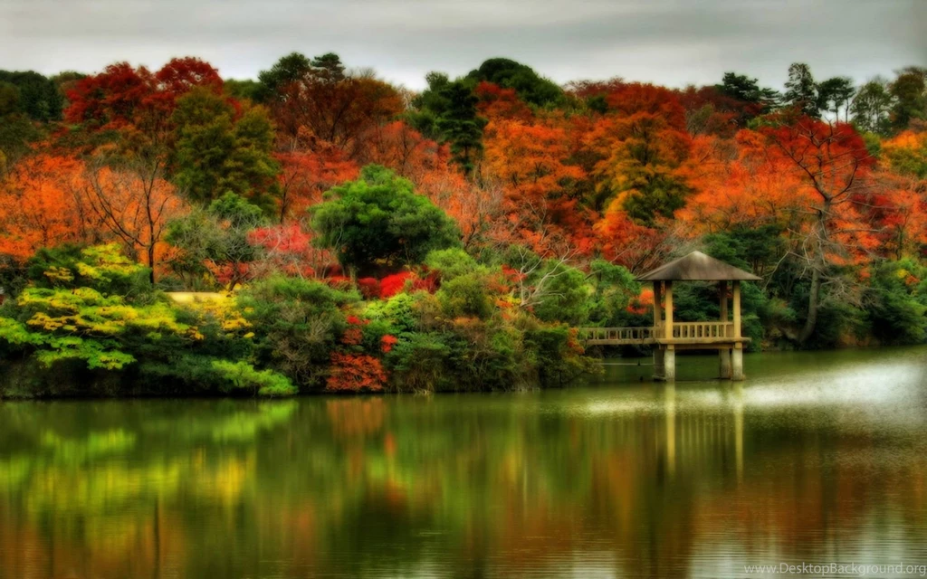 Beautiful Autumn Scenes 1920x1200 Wallpapers, 1920x1200 Wallpapers ...