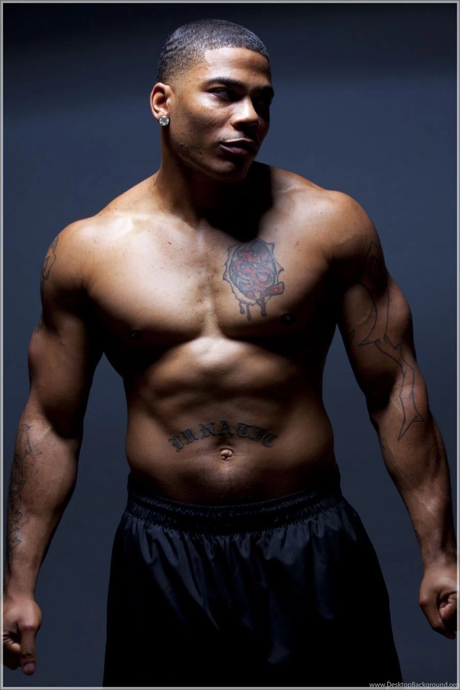Nelly Photo, Pics, Wallpapers   Photo