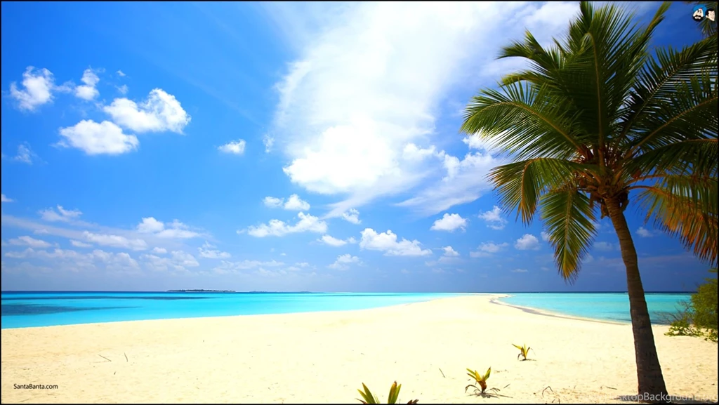 Desktop Beach