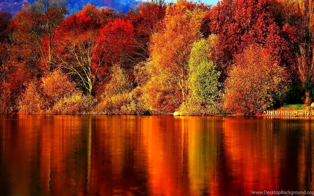 Fall Season Wallpapers Picture