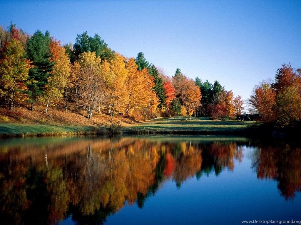 Free Fall Desktop Wallpapers Desktop Backgrounds