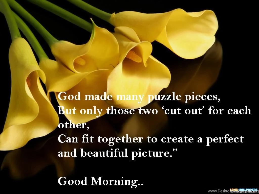 Good Morning Love Quotes With Pictures