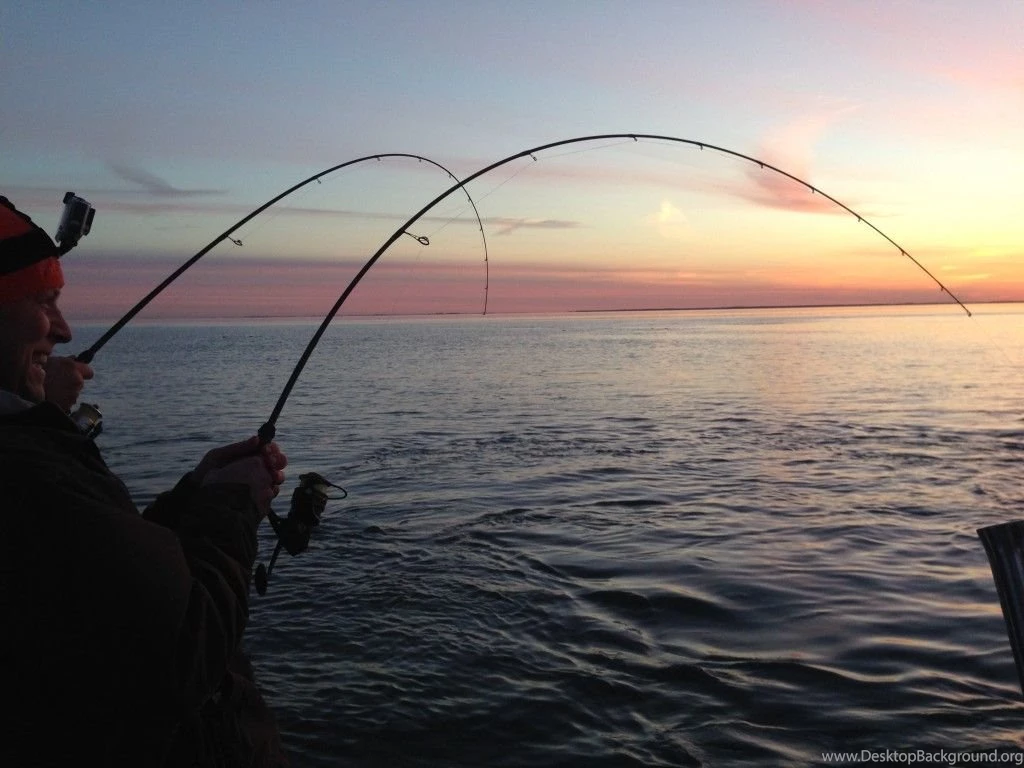 HUGE Beginning To The Annual “Catch And Release” Trophy Striper ...