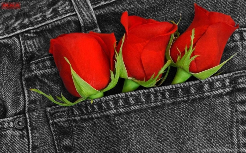 Red Roses Wallpapers