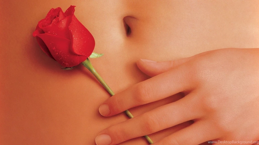 American beauty movie hd wallpaper 1920×1080 4702 : Moustache Magazine
