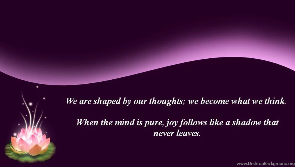 Secret Of The Law Of Attraction: