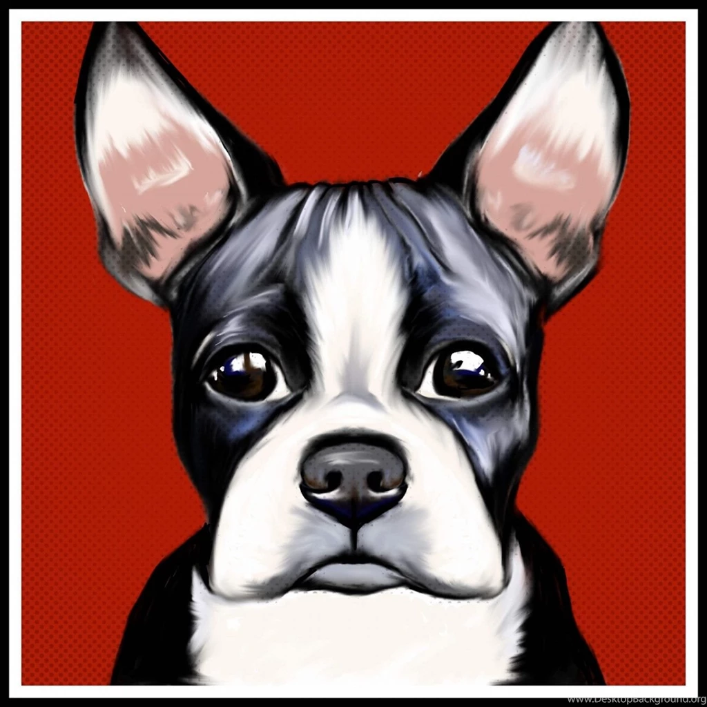 Cute Boston Terrier Art Wallpapers