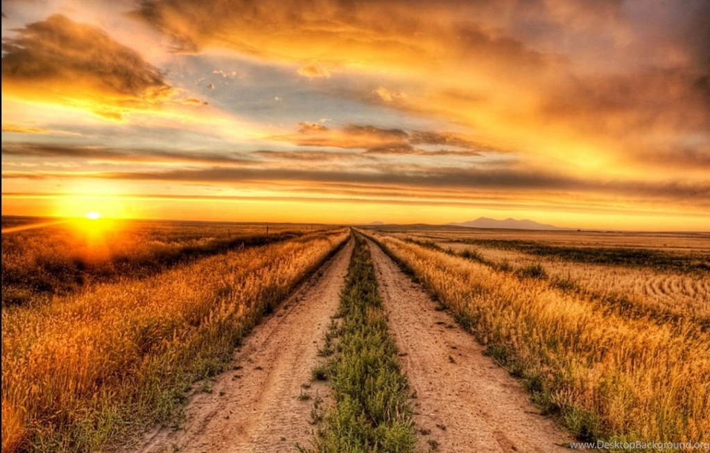 Hd Nature Images, Wallpapers Of Natures, Organic, Plants, Windows ...