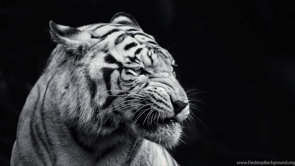 High Quality 1600x900 HD Wallpapers 0   HD Wallpapers N