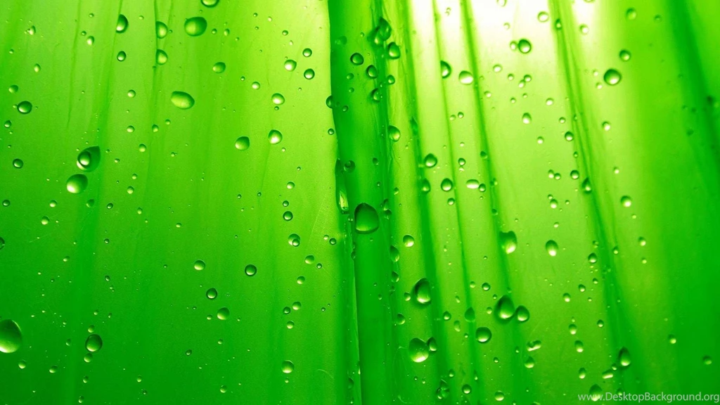 Download Cool Green Wallpapers Phone