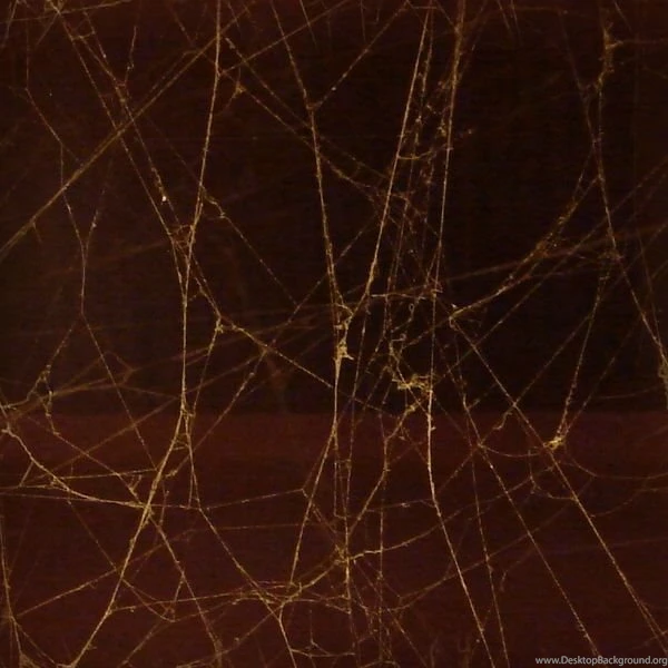 Seamless Spiderweb Textures Fbrushes