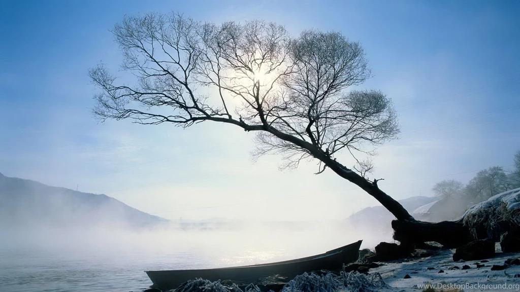 Nature Wallpapers Autumn, Darkslategray, Dimgray
